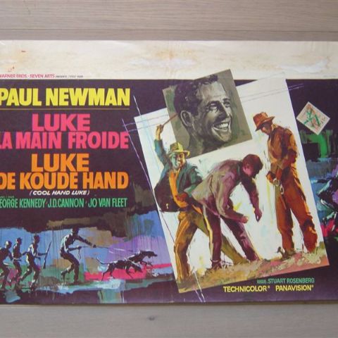 'Luke-La main froide' (Cool hand Luke' Belgian affichette